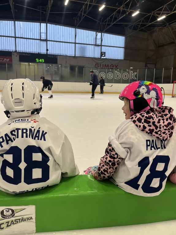 tydenhokeje_leden2026d