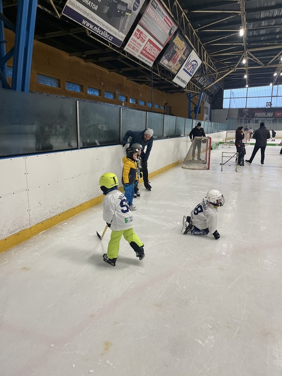 tydenhokeje_leden2026f